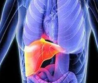 【动物实验】-上海生科院小鼠实验发现调节胰岛素敏感性和肝脏脂质代谢的新机制