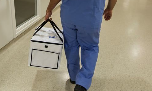 【动物实验】-“人羊胚胎”培育成功，借助其他动物培育人类器官将更进一步