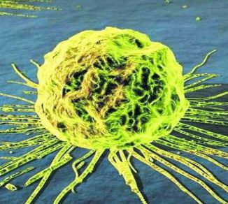 扼住癌症生长有什么办法？