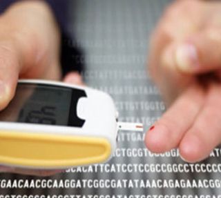 2型糖尿病的遗传特征