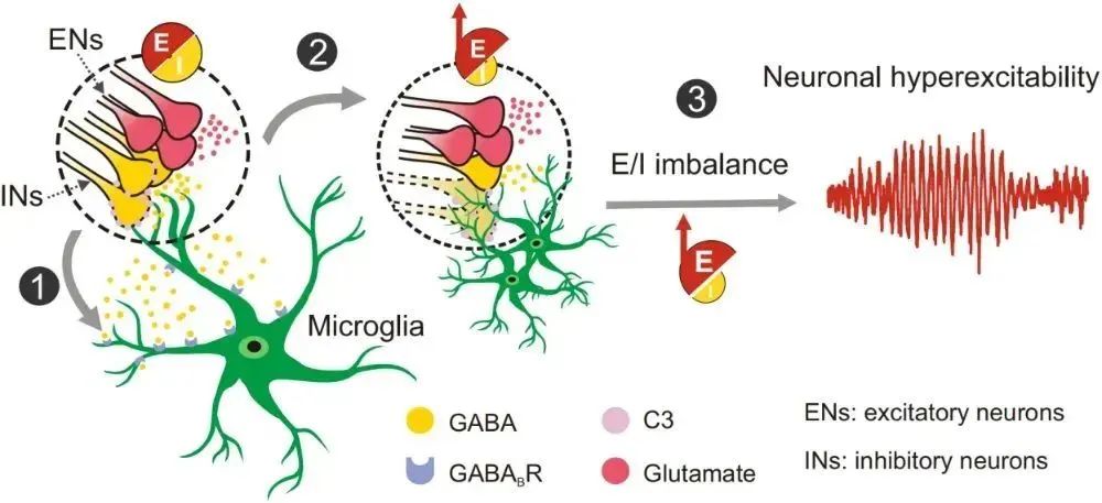 93 篇！总IF超 1500！南京大学 2025 年科研成果覆盖多个关键领域