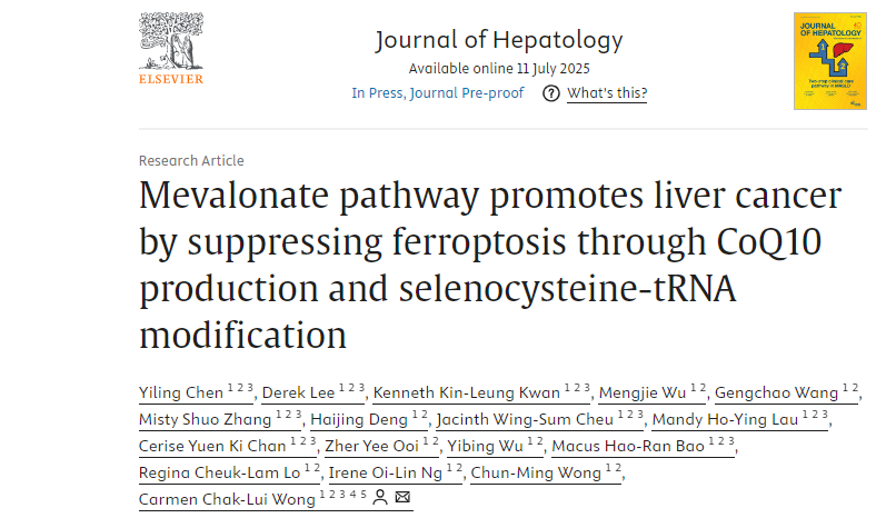 港大团队：他汀可促进肝癌细胞铁死亡，提升免疫检查点抑制剂效果