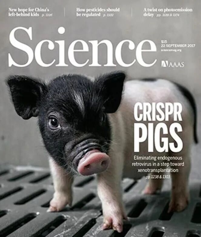 云南农业大学副校长团队发表《Science》封面论文,在顶级期刊(IF=33)再次取得领域突破性进展