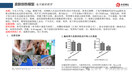 瘢痕新药研发:从“冷门赛道”到“研发热土”