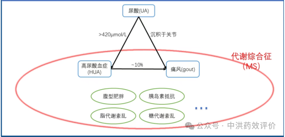 高尿酸药物临床前开发，如何选对动物模型少走弯路